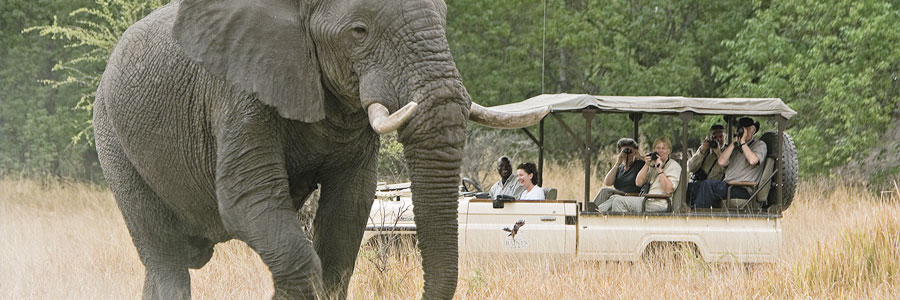 Kruger National Park